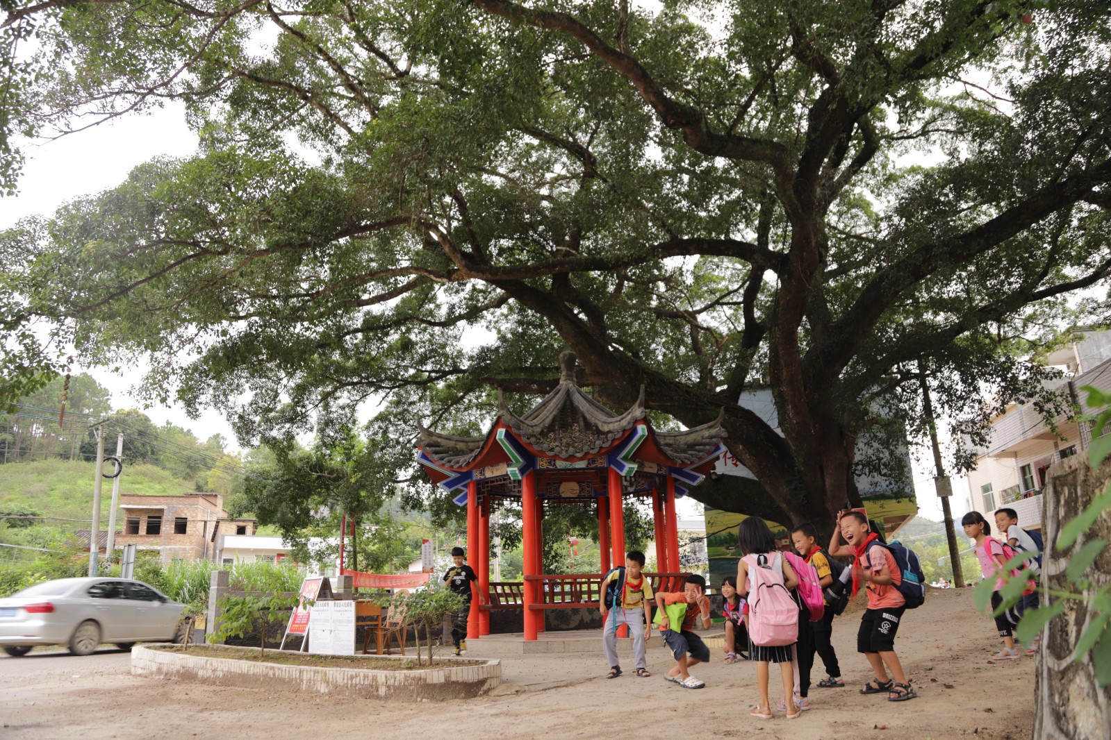敬梓馮坑大榕樹.JPG